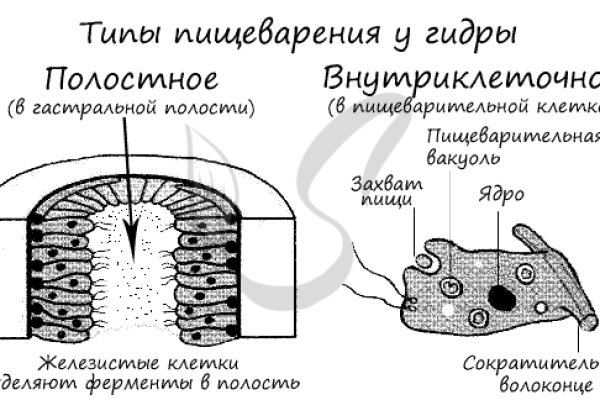 Onion ссылки даркнет