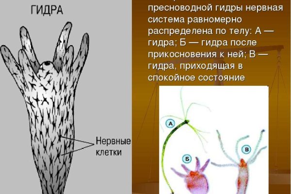 Кракен интернет площадка